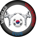 ceci est le logo de l'association de taekwondo de Wingles