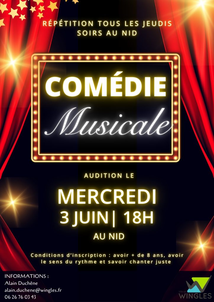 Une audition pour rejoindre une comédie musicale au NID